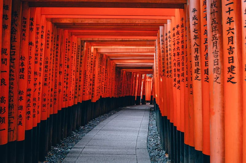 Kyoto: The Classic Sakura Scene