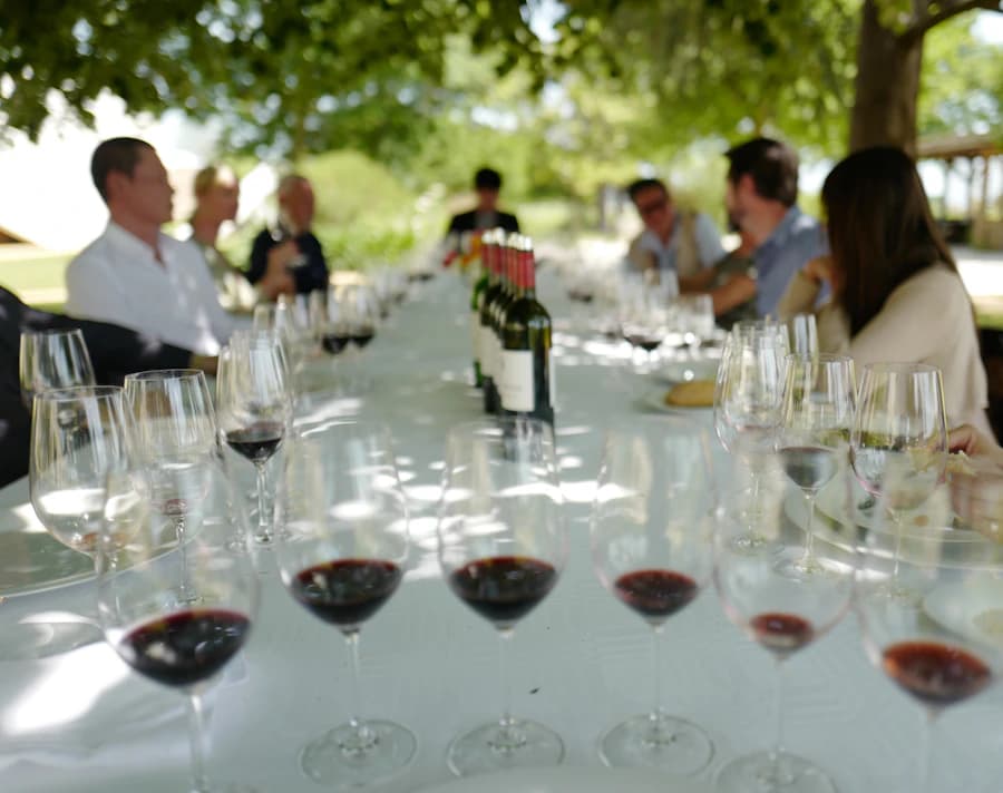 The Danube Bend and wine country