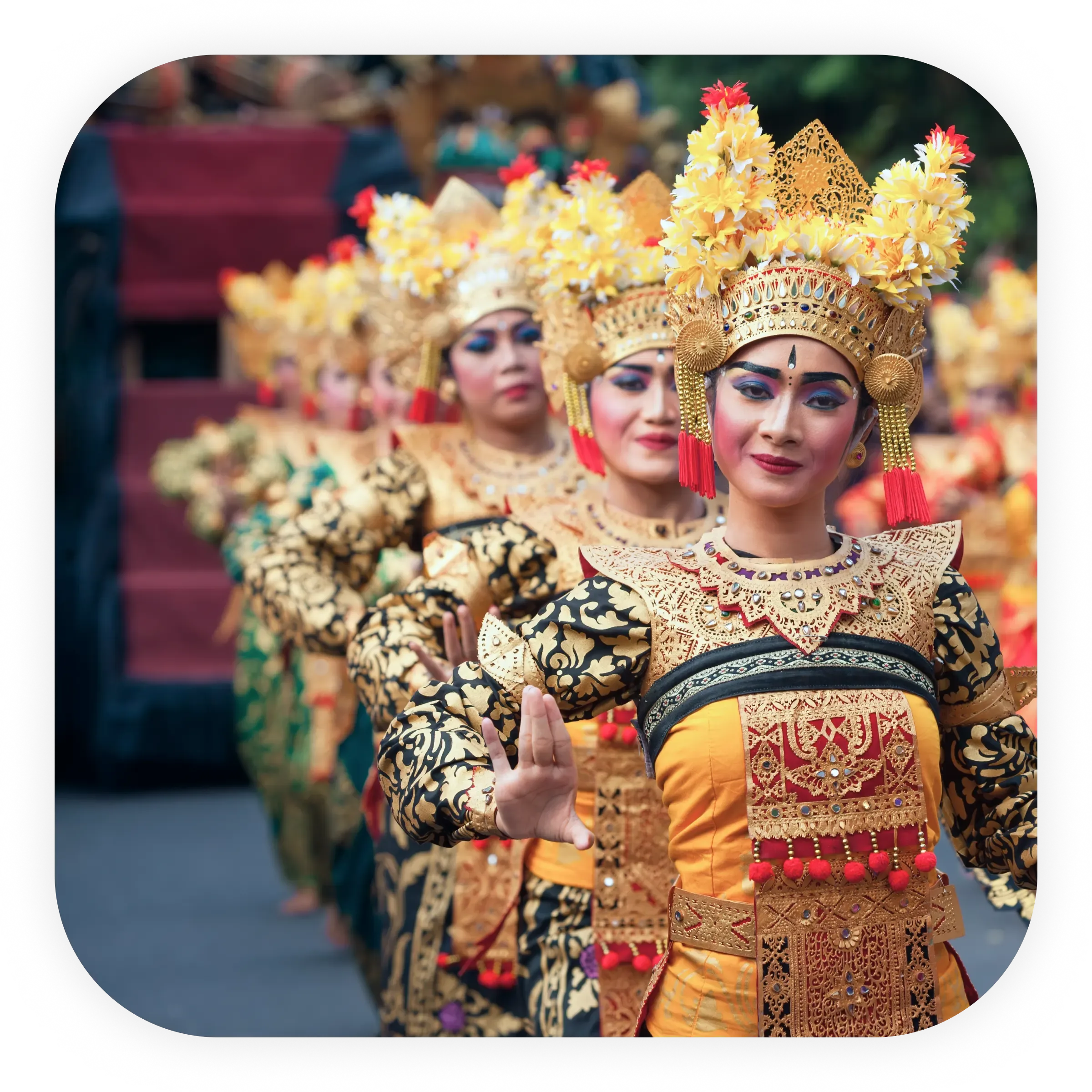 Cultural Immersion