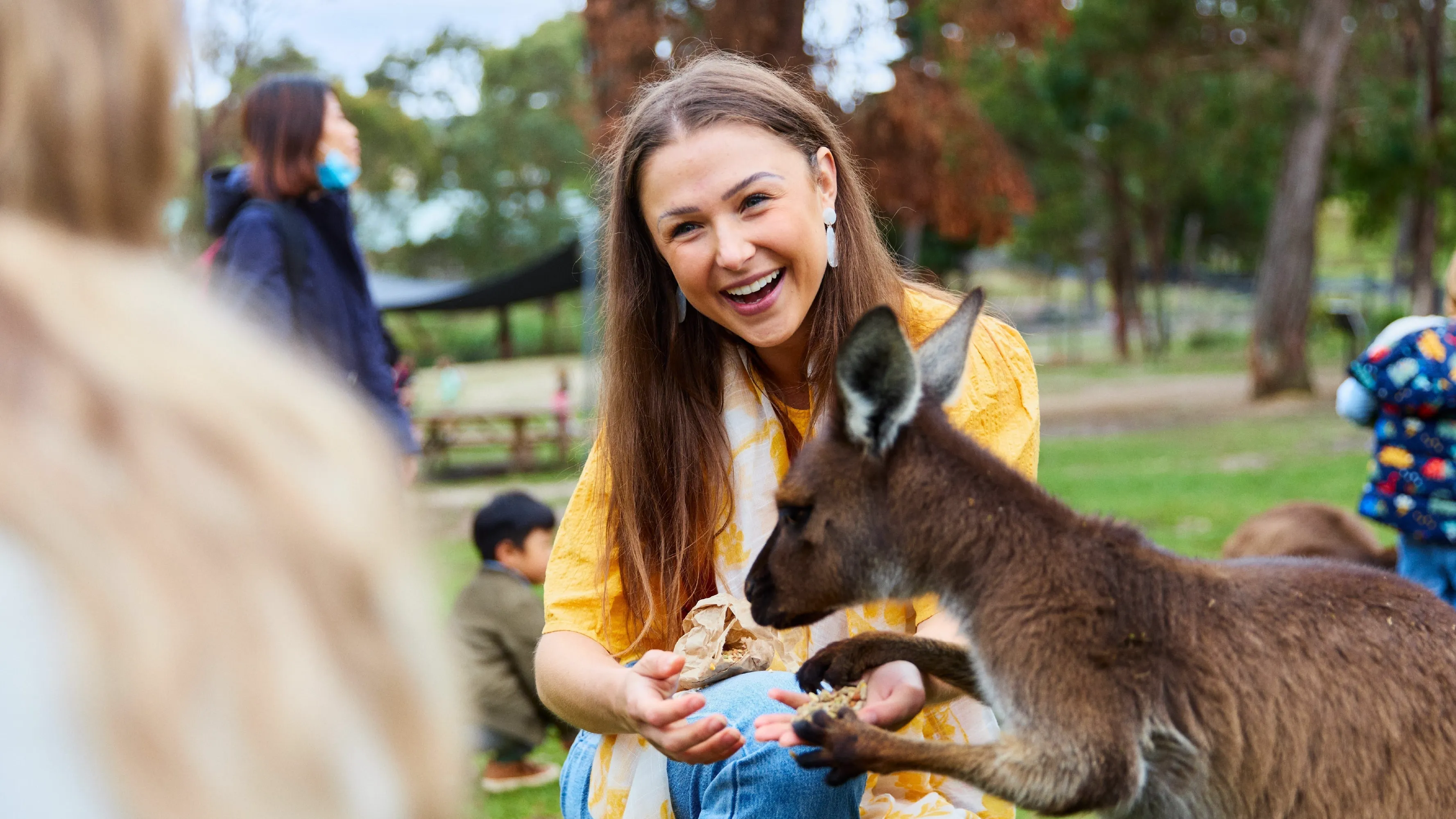 Discover native wildlife at Moonlit Sanctuary