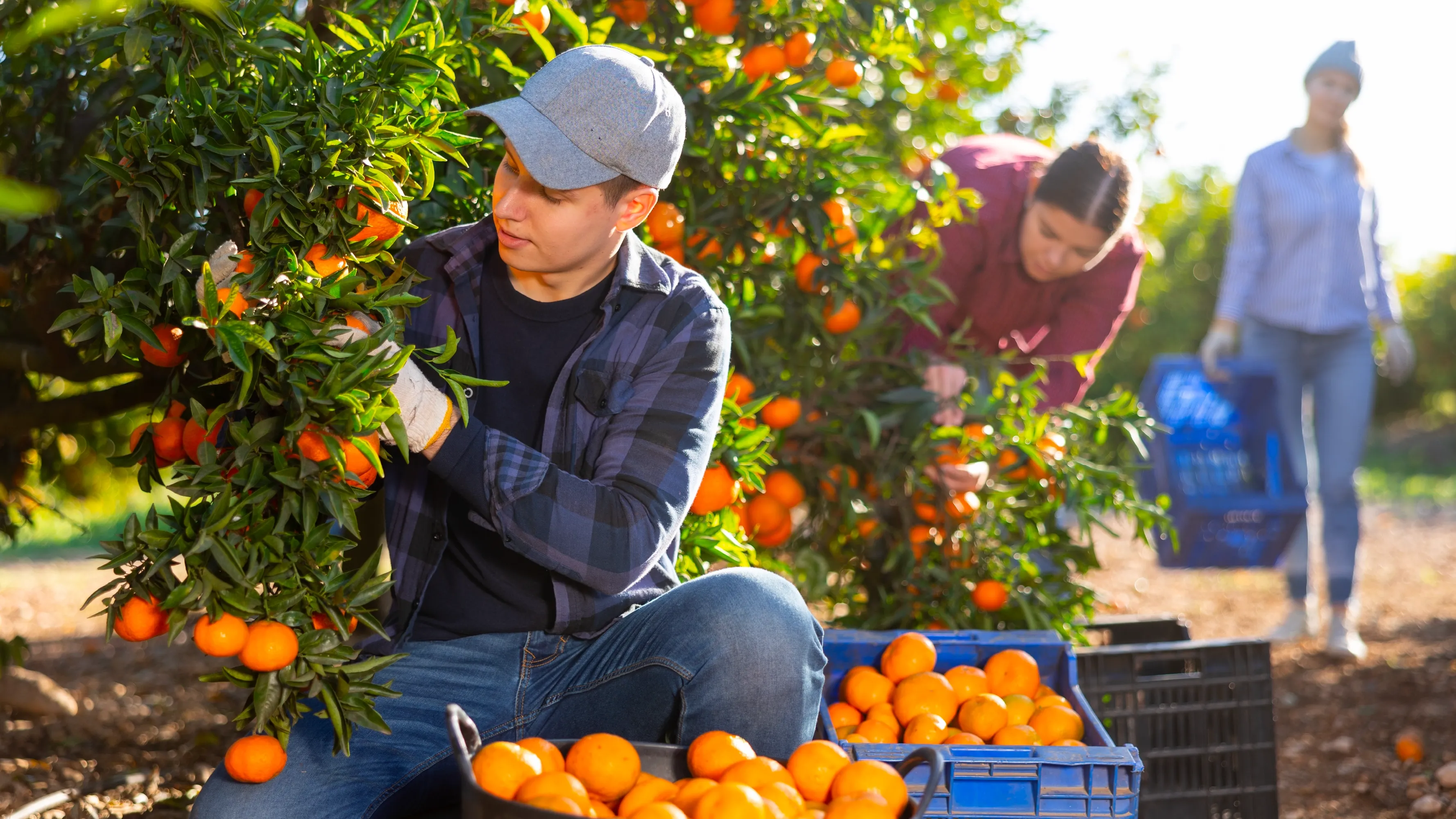Taste orchard-fresh flavours at Rayners Orchard