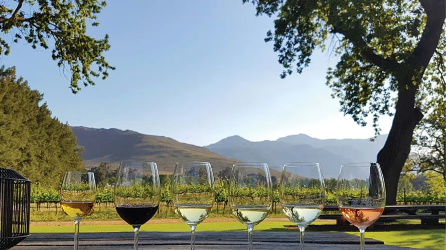 Indulge in the elegance of Franschhoek Wine Valley
