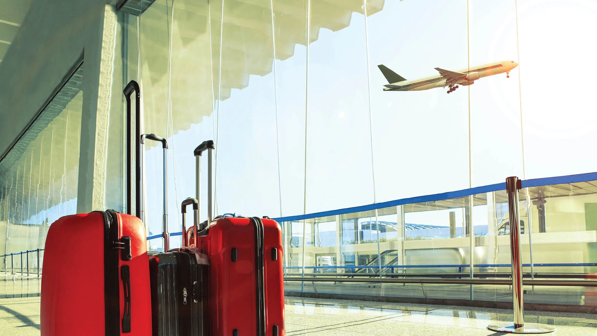 Effortless journeys with private guided transfers